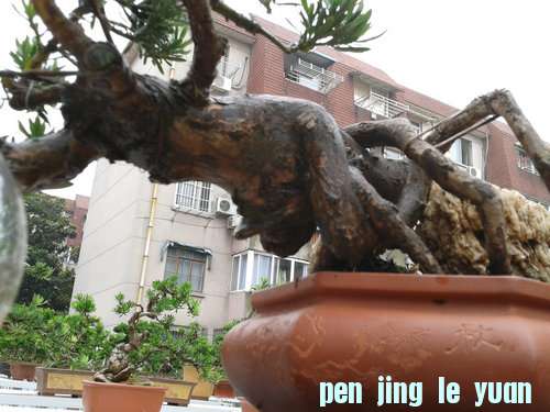 2013-06-19 13.26.09.jpg