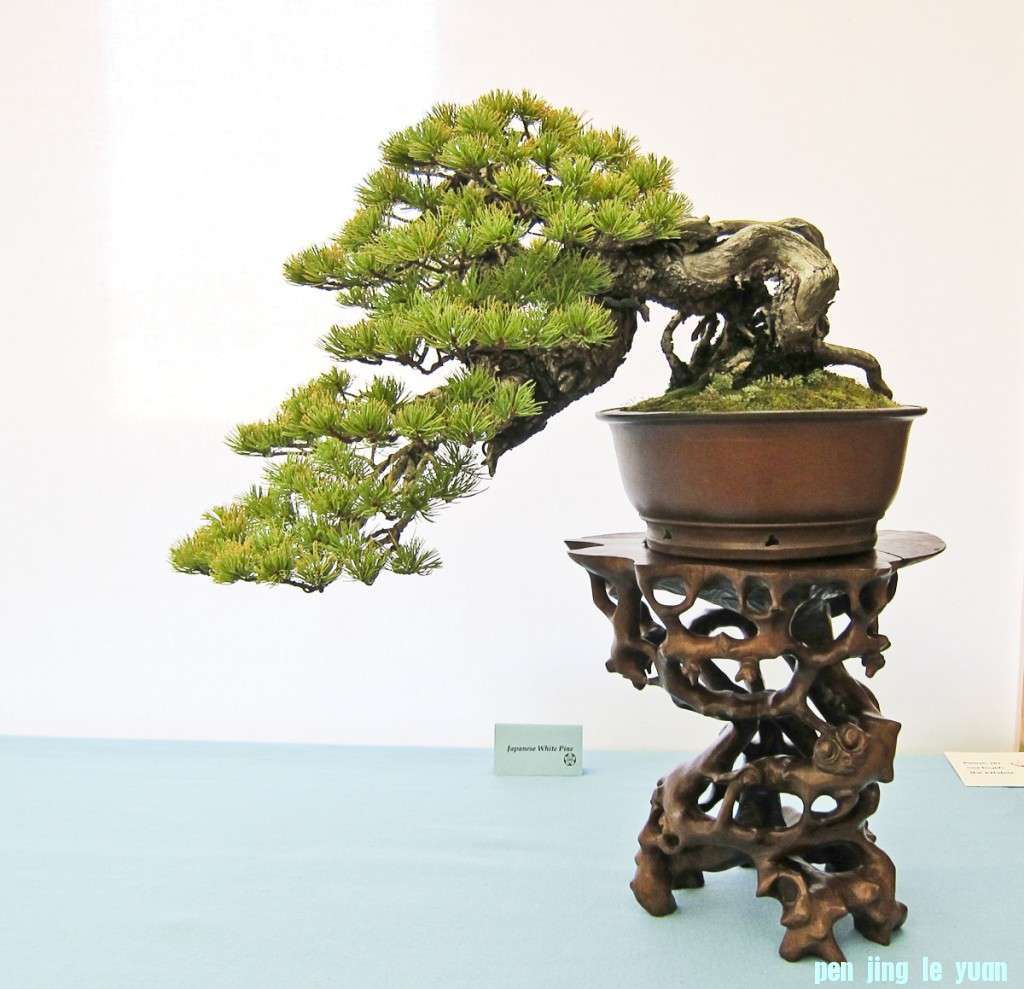 conew_img_02021.jpg