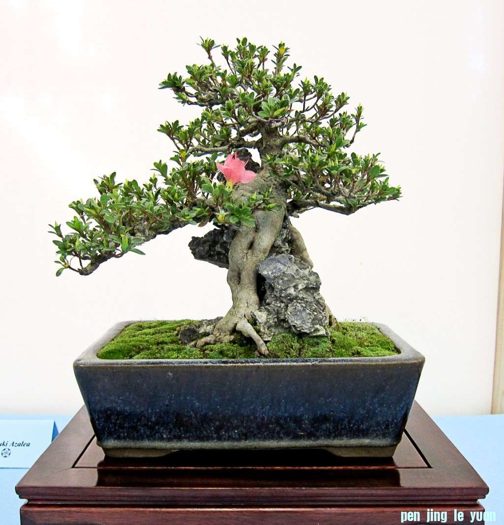 conew_img_02071.jpg