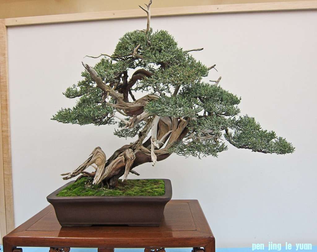 conew_img_02481.jpg