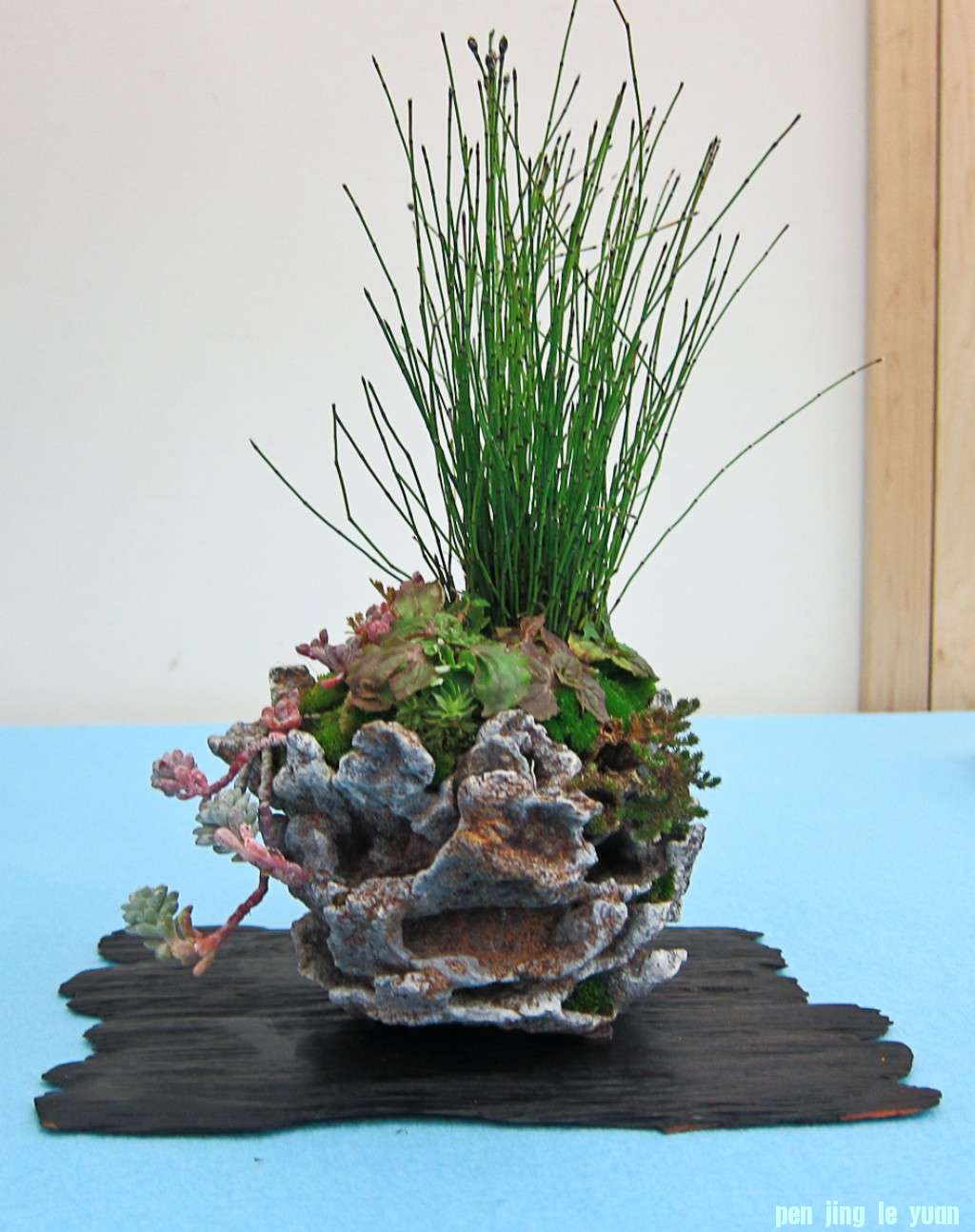 conew_img_02501.jpg