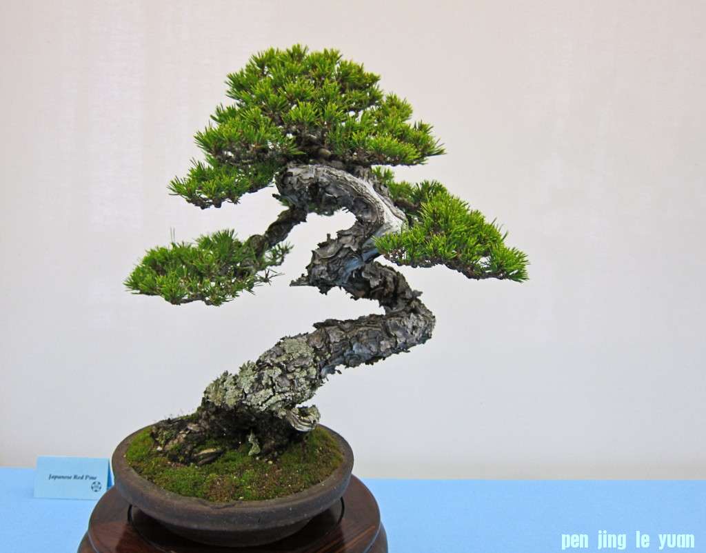 conew_img_02711.jpg