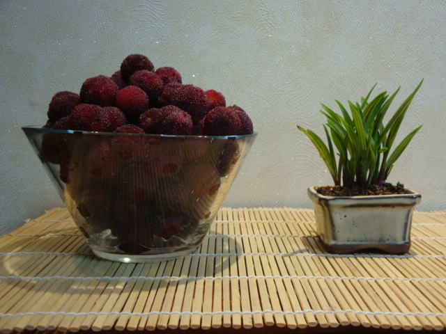 DSC04232.JPG