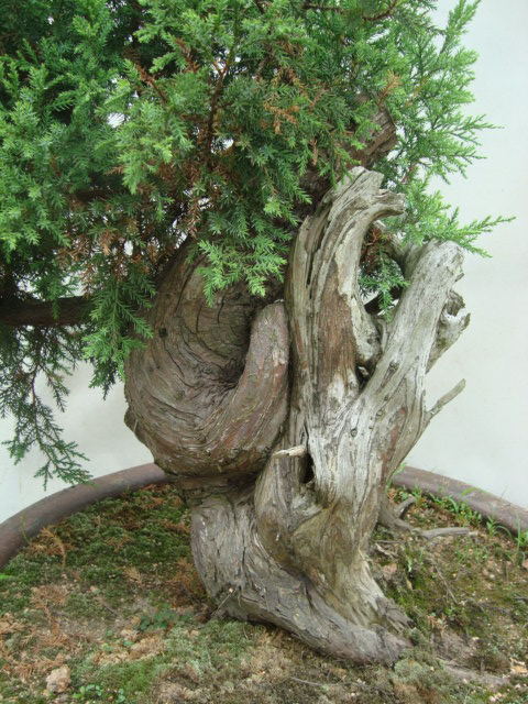 DSC07420_ͼ.jpg