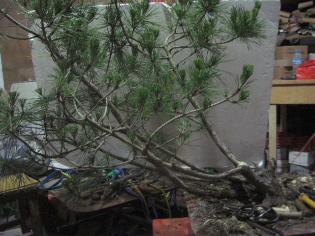 13-06-21���� 001.jpg