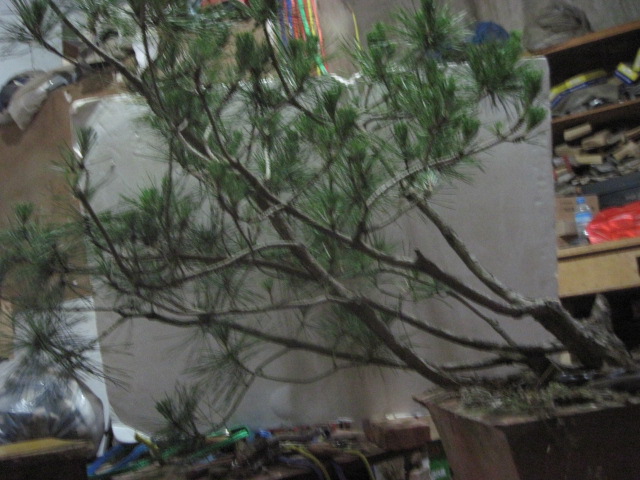 13-06-21���� 002.jpg