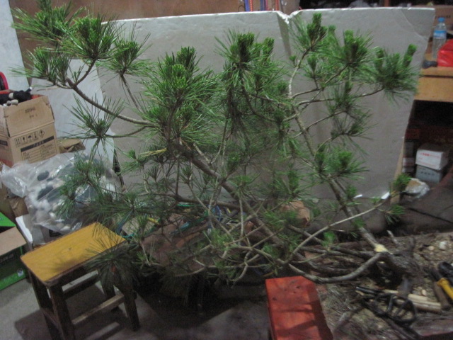 13-06-21���� 003.jpg