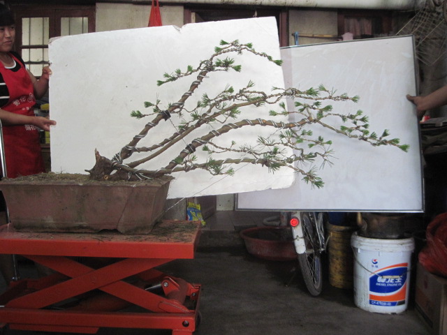 13-06-21���� 006.jpg