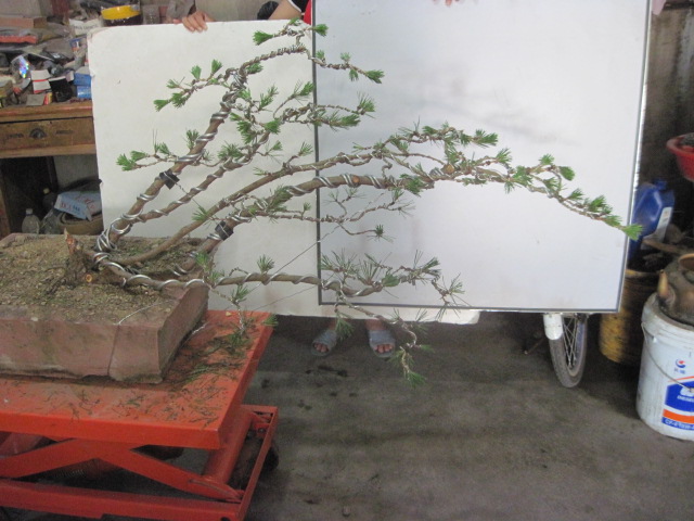 13-06-21���� 007.jpg