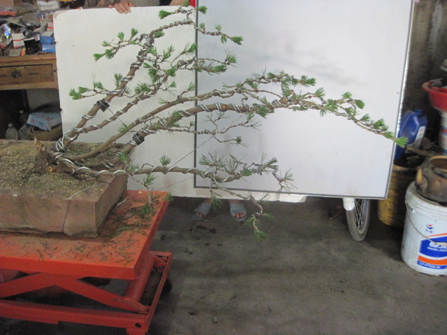 13-06-21���� 008.jpg