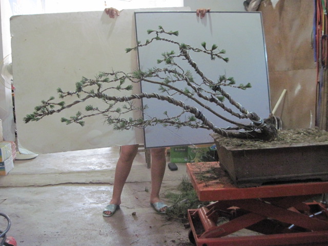 13-06-21���� 011.jpg