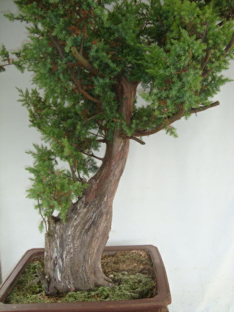 DSC07425_ͼ.jpg