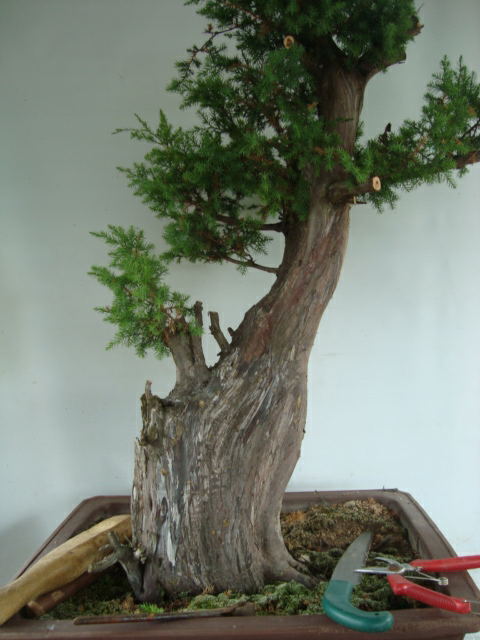 DSC07428_ͼ.jpg