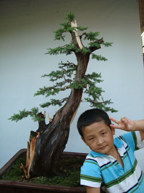 DSC07439_ͼ.jpg
