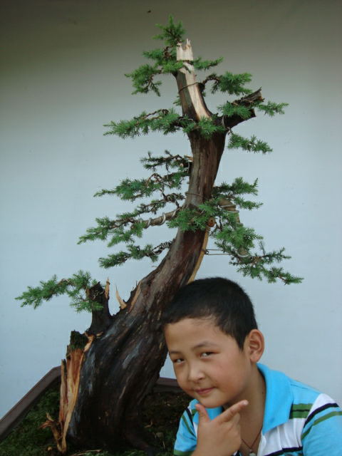 DSC07440_ͼ.jpg