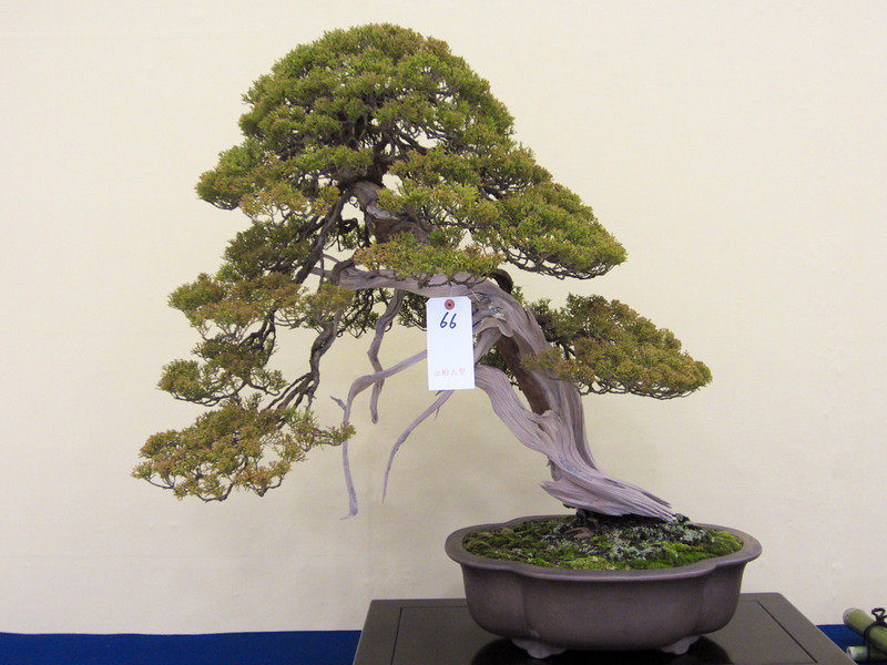 IMG0722-L.jpg