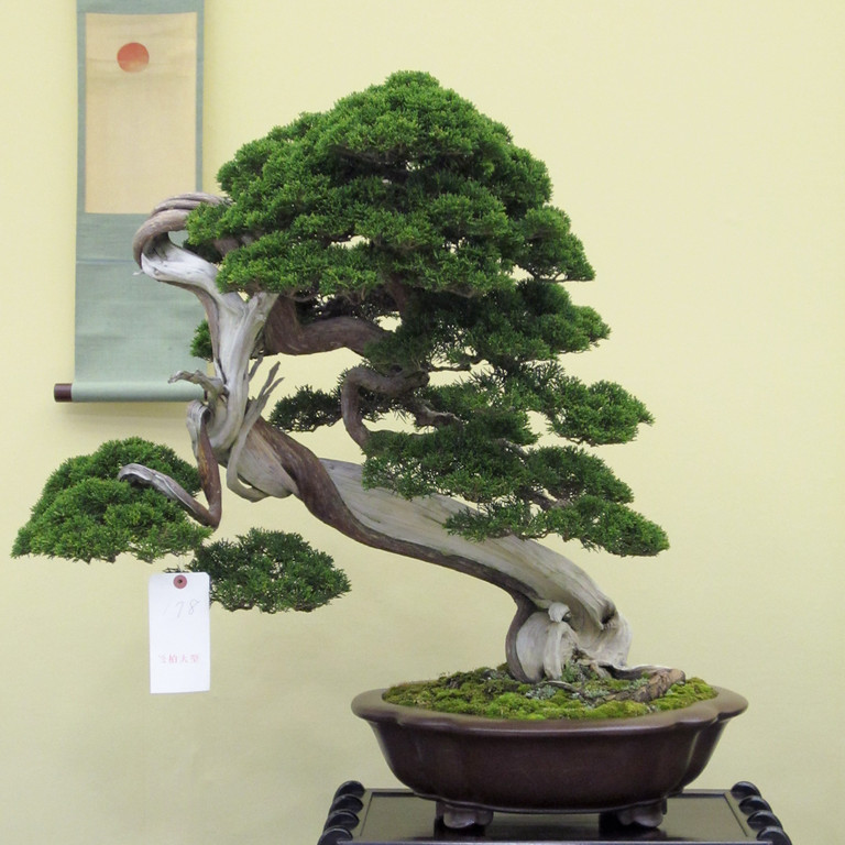 IMG0751-XL.jpg