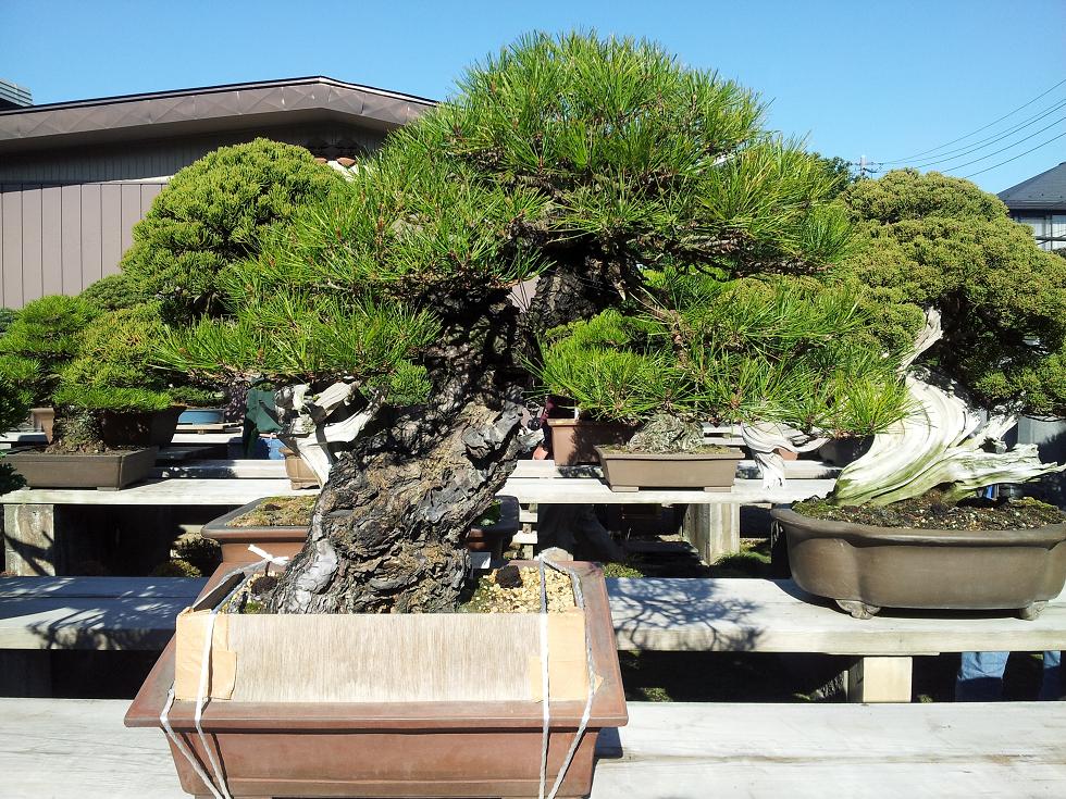 20121120_095133.jpg