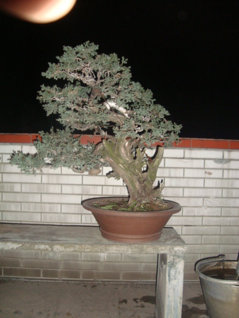 ��ת DSC02629.JPG