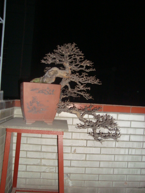 ��ת DSC02627.JPG