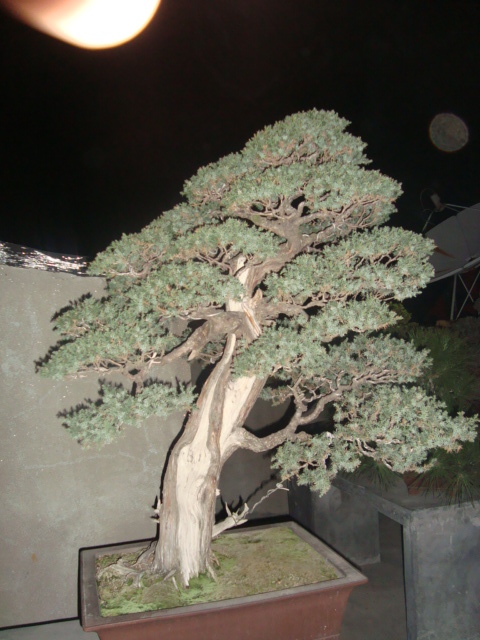 ��ת DSC02630.JPG