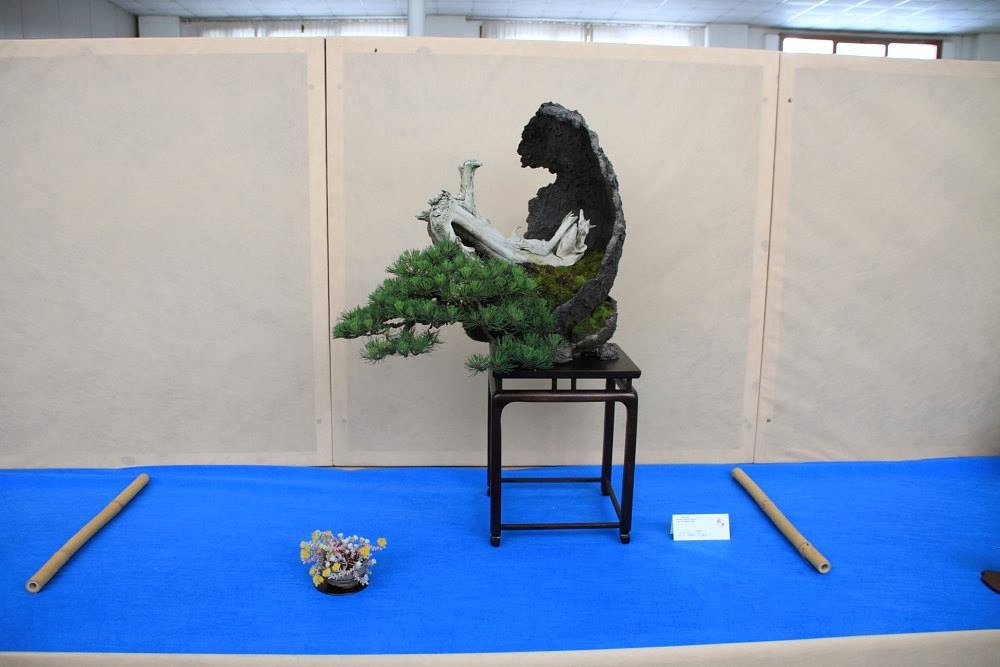 So-Saku Kimura Bonsai Award 2013 047.jpg