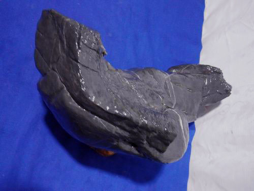 DSCF1618.jpg