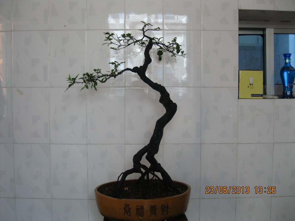 Ƭ 027.jpg