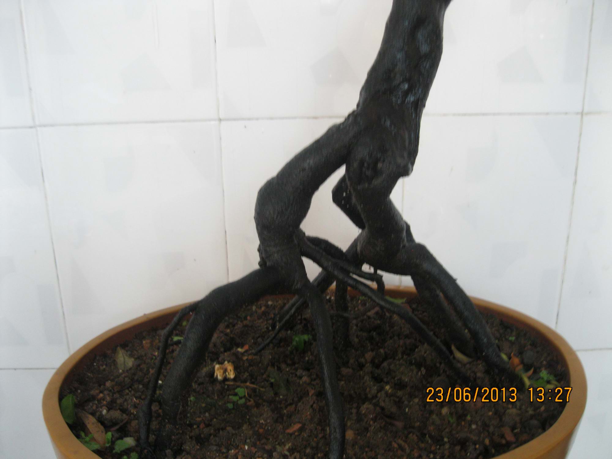 Ƭ 029.jpg