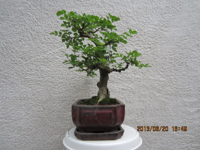 IMG_1664.JPG