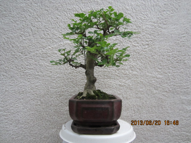 IMG_1663.JPG