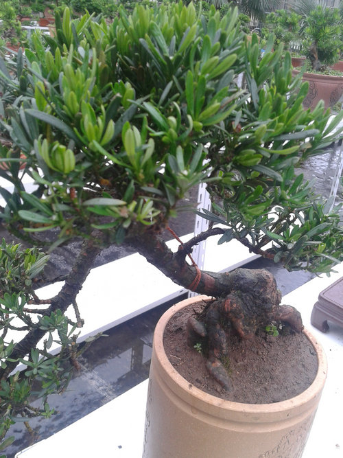 2013-06-23 14.33.22.jpg