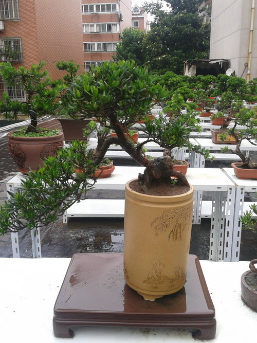 2013-06-23 14.00.40.jpg