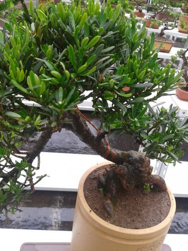 2013-06-23 14.01.54.jpg