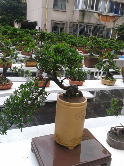 2013-06-23 14.02.21.jpg