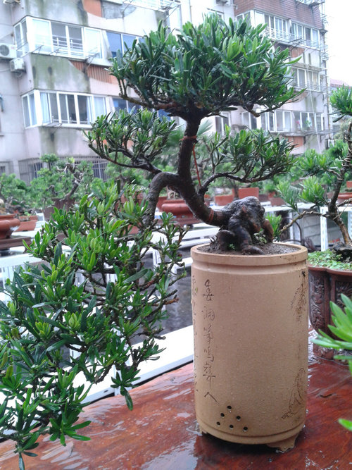 2013-06-23 17.00.39.jpg