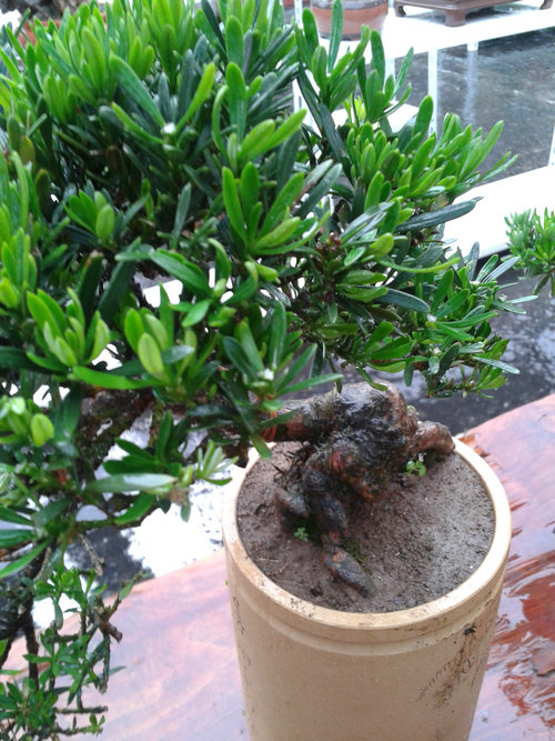 2013-06-23 17.00.21.jpg