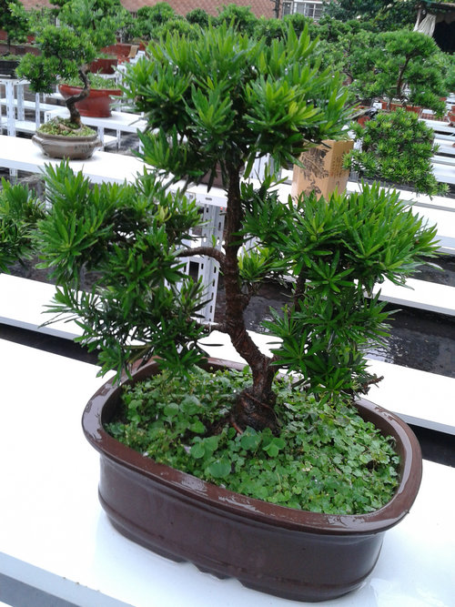 2013-06-23 17.09.22.jpg