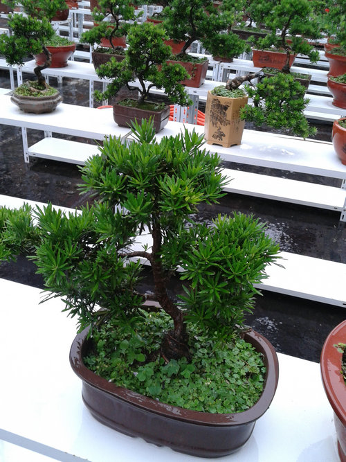 2013-06-23 17.10.59.jpg