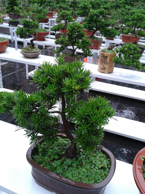 2013-06-23 17.12.07.jpg