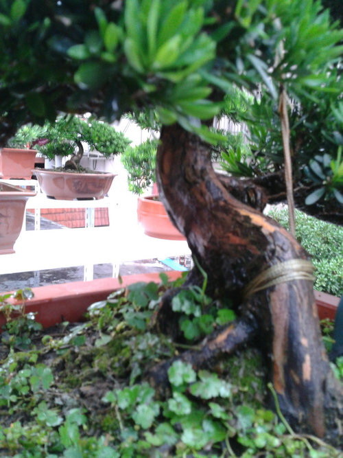 2013-06-23 16.44.43.jpg