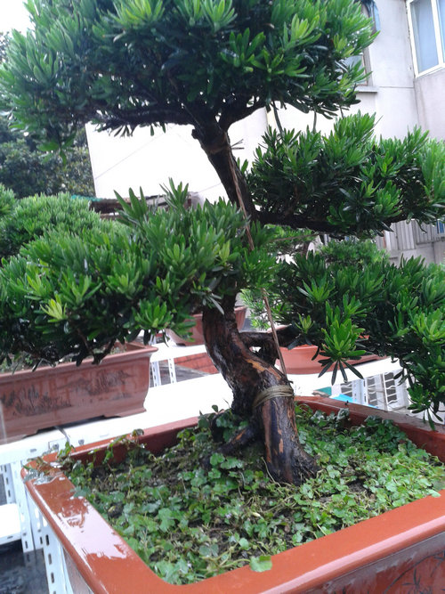 2013-06-23 16.55.44.jpg