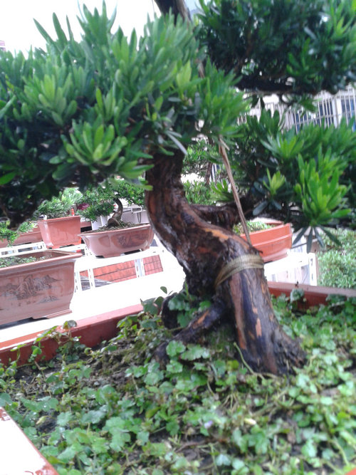 2013-06-23 16.55.59.jpg