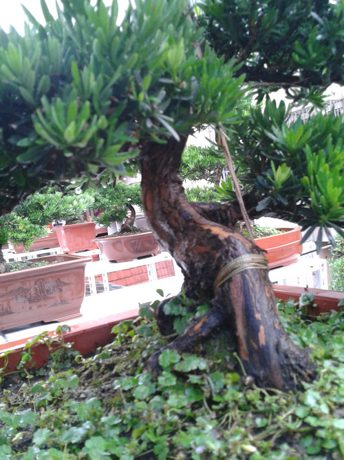 2013-06-23 16.57.07.jpg