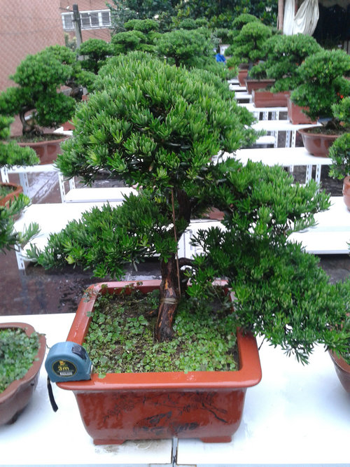 2013-06-23 16.42.50.jpg