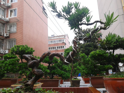 2013-06-23 14.55.13.jpg