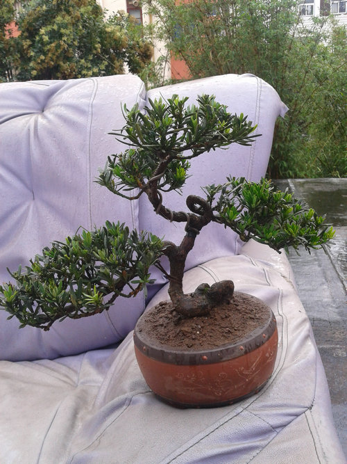 2013-06-23 14.38.59.jpg