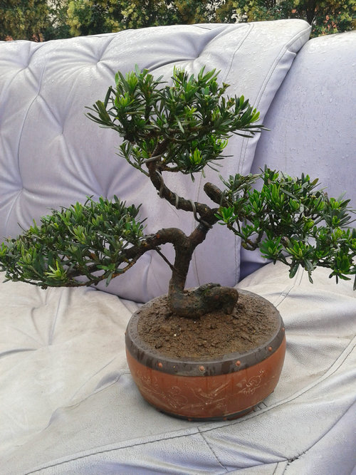 2013-06-23 14.38.35.jpg