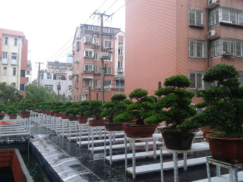 2013-06-23 15.47.08.jpg