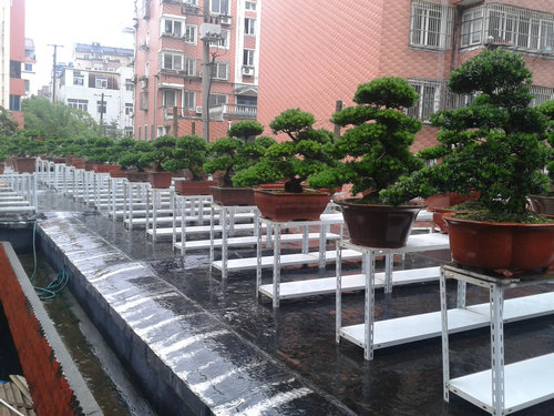 2013-06-23 15.47.25.jpg